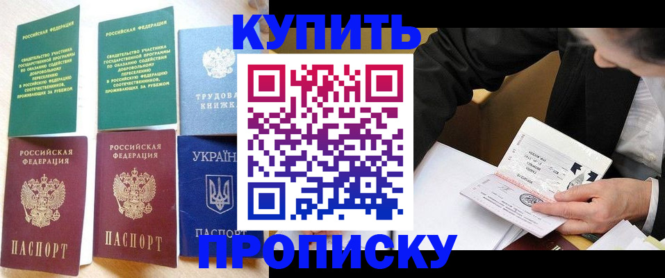 прописка для школы в Чистополье